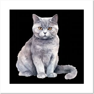 British Shorthair Cat Posters and Art